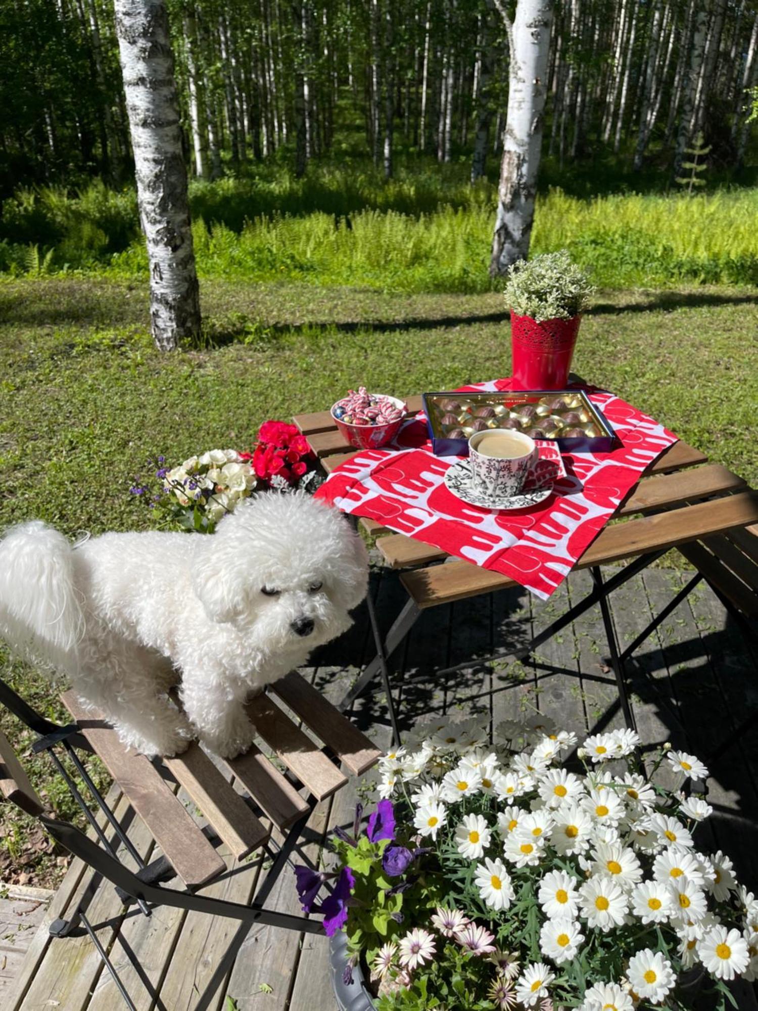 Rauhan Marinella Village Imatra Zewnętrze zdjęcie